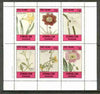 Eynhallow 1982 Flowers #24 (Narcissus x 2, Cosmus, Nemophila, Scyphanthus & Calandrinia) perf set of 6 values unmounted mint