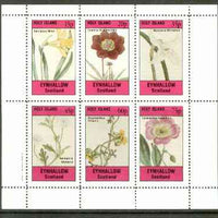 Eynhallow 1982 Flowers #24 (Narcissus x 2, Cosmus, Nemophila, Scyphanthus & Calandrinia) perf set of 6 values unmounted mint