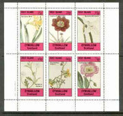 Eynhallow 1982 Flowers #24 (Narcissus x 2, Cosmus, Nemophila, Scyphanthus & Calandrinia) perf set of 6 values unmounted mint