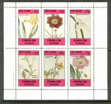 Eynhallow 1982 Flowers #24 (Narcissus x 2, Cosmus, Nemophila, Scyphanthus & Calandrinia) perf set of 6 values unmounted mint