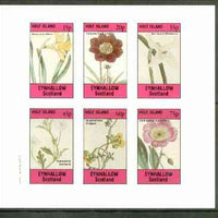 Eynhallow 1982 Flowers #24 (Narcissus x 2, Cosmus, Nemophila, Scyphanthus & Calandrinia) imperf set of 6 values unmounted mint