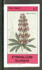 Eynhallow 1982 Flowers #24 (Stachys corsica) imperf souvenir sheet (£1 value) unmounted mint