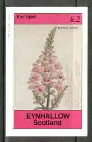 Eynhallow 1982 Flowers #24 (Aconitum anthora) imperf deluxe sheet (£2 value) unmounted mint