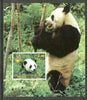 Touva 1999 Panda Bears imperf souvenir sheet #2 (with China 99 imprint) unmounted mint
