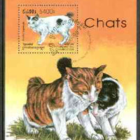 Cambodia 1998 Domestic Cats perf m/sheet fine cds used