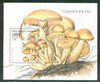 Benin 1998 Mushrooms m/sheet (1000f value) fine cds used