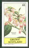Grunay 1982 Flowers #10 (Andromeda coriacea) imperf souvenir sheet (£1 value) unmounted mint