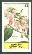 Grunay 1982 Flowers #10 (Andromeda coriacea) imperf souvenir sheet (£1 value) unmounted mint