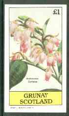Grunay 1982 Flowers #10 (Andromeda coriacea) imperf souvenir sheet (£1 value) unmounted mint