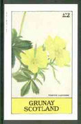 Grunay 1982 Flowers #10 (Potentilla lupinoides) imperf deluxe sheet (£2 value) unmounted mint