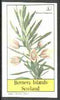 Bernera 1982 Flowers #19 (Aitonia capensis) imperf souvenir sheet (£1 value) unmounted mint
