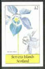 Bernera 1982 Flowers #19 (Aquilegia alpina) imperf deluxe sheet (£2 value) unmounted mint