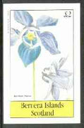 Bernera 1982 Flowers #19 (Aquilegia alpina) imperf deluxe sheet (£2 value) unmounted mint