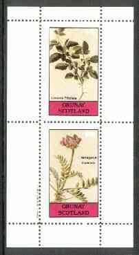 Grunay 1982 Flowers #11 (Limonia & Astragalus) perf set of 2 (40p & 60p) unmounted mint
