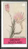 Grunay 1982 Flowers #11 (Elichrysum) imperf souvenir sheet (£1 value) unmounted mint
