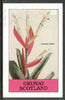 Grunay 1982 Flowers #11 (Tillandsia) imperf deluxe sheet (£2 value) unmounted mint
