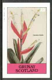 Grunay 1982 Flowers #11 (Tillandsia) imperf deluxe sheet (£2 value) unmounted mint
