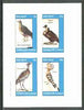 Eynhallow 1982 Birds #23 (Pigeon, Vulture, Bustard & Hoopoe) imperf set of 4 values unmounted mint