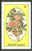 Grunay 1982 Flowers #12 (Swamp Rose) imperf deluxe sheet (£2 value) unmounted mint