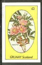 Grunay 1982 Flowers #12 (Swamp Rose) imperf deluxe sheet (£2 value) unmounted mint