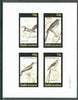 Staffa 1982 Birds #62 (Scissor Tail, Piha, Blackcap & Chat) imperf set of 4 values unmounted mint