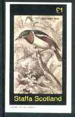 Staffa 1982 Birds #62 (Spectacle Tody) imperf souvenir sheet (£1 value) unmounted mint