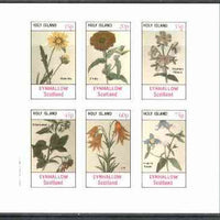 Eynhallow 1982 Flowers #25 (Galardia, Zinnia, Rhexia, Bittersweet, Lily & Virgin's Bower) imperf set of 6 values unmounted mint