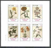 Eynhallow 1982 Flowers #25 (Galardia, Zinnia, Rhexia, Bittersweet, Lily & Virgin's Bower) imperf set of 6 values unmounted mint