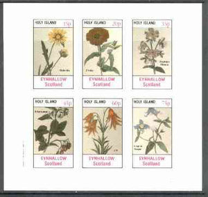 Eynhallow 1982 Flowers #25 (Galardia, Zinnia, Rhexia, Bittersweet, Lily & Virgin's Bower) imperf set of 6 values unmounted mint