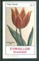 Eynhallow 1982 Flowers #25 (Tulip) imperf souvenir sheet (£1 value) unmounted mint