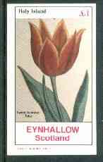 Eynhallow 1982 Flowers #25 (Tulip) imperf souvenir sheet (£1 value) unmounted mint
