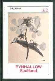 Eynhallow 1982 Flowers #25 (Phlox) imperf deluxe sheet (£2 value) unmounted mint