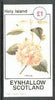 Eynhallow 1982 Flowers #26 (Hibiscus) imperf souvenir sheet (£1 value) unmounted mint