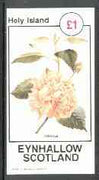 Eynhallow 1982 Flowers #26 (Hibiscus) imperf souvenir sheet (£1 value) unmounted mint