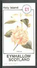 Eynhallow 1982 Flowers #26 (Hibiscus) imperf souvenir sheet (£1 value) unmounted mint