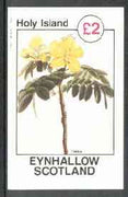 Eynhallow 1982 Flowers #26 (Cassia) imperf deluxe sheet (£2 value) unmounted mint