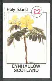 Eynhallow 1982 Flowers #26 (Cassia) imperf deluxe sheet (£2 value) unmounted mint