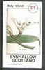 Eynhallow 1982 Flowers #27 (Aponogeton) imperf souvenir sheetr (£1 value) unmounted mint