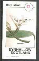 Eynhallow 1982 Flowers #27 (Aponogeton) imperf souvenir sheetr (£1 value) unmounted mint