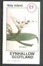 Eynhallow 1982 Flowers #27 (Aponogeton) imperf souvenir sheetr (£1 value) unmounted mint