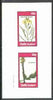 Staffa 1982 Flowers #28 (Wall Flower Mustard & Erucastrum) imperf set of 2 values unmounted mint