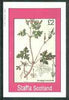 Staffa 1982 Flowers #28 (Stinkinmg Cranesbill) imperf deluxe sheet (£2 value) unmounted mint