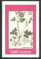 Staffa 1982 Flowers #28 (Stinkinmg Cranesbill) imperf deluxe sheet (£2 value) unmounted mint