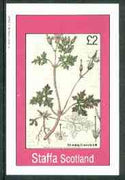 Staffa 1982 Flowers #28 (Stinkinmg Cranesbill) imperf deluxe sheet (£2 value) unmounted mint