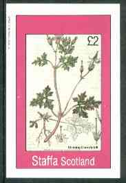 Staffa 1982 Flowers #28 (Stinkinmg Cranesbill) imperf deluxe sheet (£2 value) unmounted mint