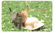 Telephone Card - Japan 105 units phone card showing Two Kittens with straw bonnet (card 111-020)