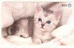 Telephone Card - Japan 50 units phone card showing Kitten laying on blanket (card 290-215)
