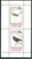 Eynhallow 1982 Birds #24 (Whiskered Fantail & Spectacle Bird) perf set of 2 values unmounted mint