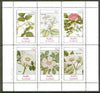 Staffa 1982 Plants #03 (Raspberry, Pear Tree & Roses x 4) perf,set of 6 values unmounted mint