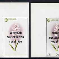 St Kilda 1970 Flowers 2s6d (Heath Spotted Orchid) with 'European Conservation Year' opt imperf single with grey omitted (St Kilda, imprint & value) plus imperf normal unmounted mint